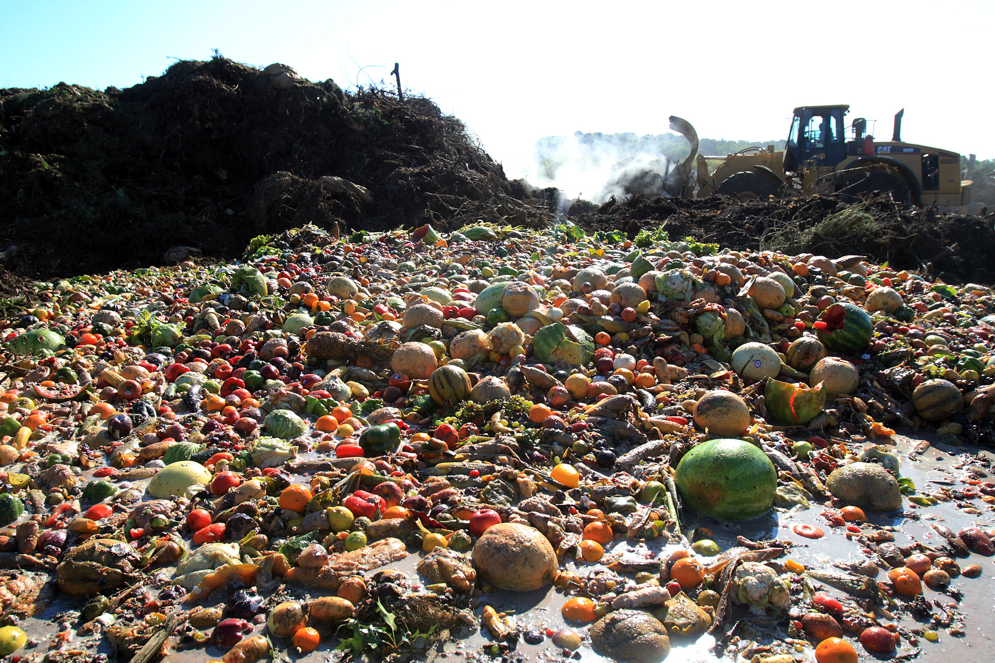 China's Food Waste Challenge - Collective Responsibility